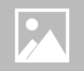 九游娱乐-东契奇新星战术调整表现惊艳，雄鹿未来可期！的简单介绍