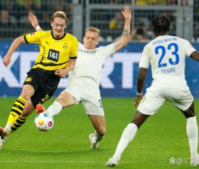 九游-多特蒙德训练开放日，集结日完成体检引欢呼，法国杯在即，团队化学反应显著(多特蒙德vs巴黎圣日耳曼ai预测)